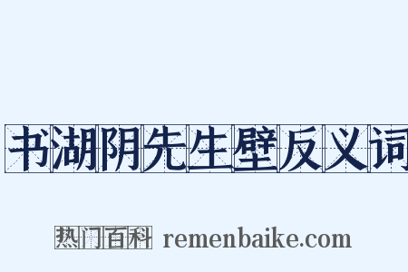 书湖阴先生壁反义词是什么意思的图片